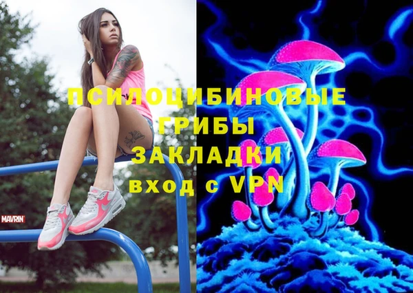 винт Армянск