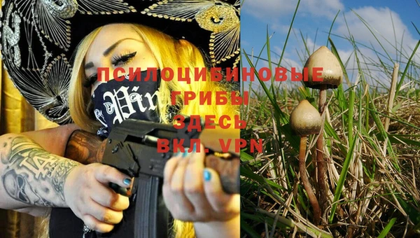 винт Армянск