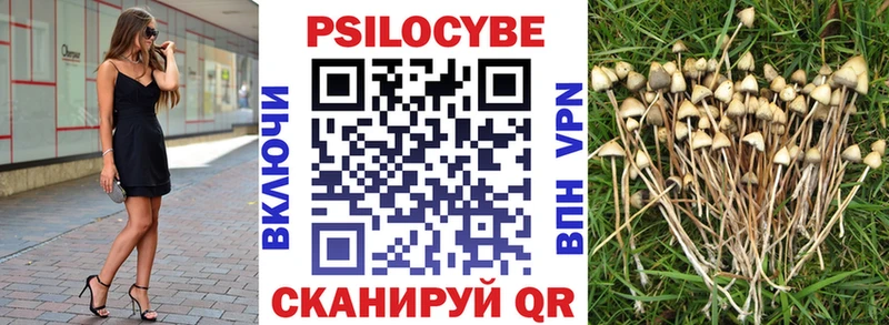 Галлюциногенные грибы мицелий  Купить где  Снежинск 